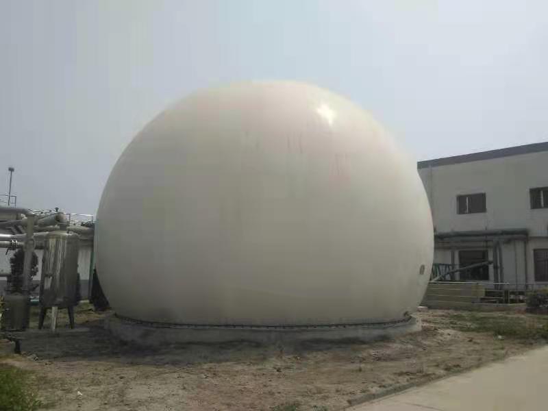 双膜气柜(图1)