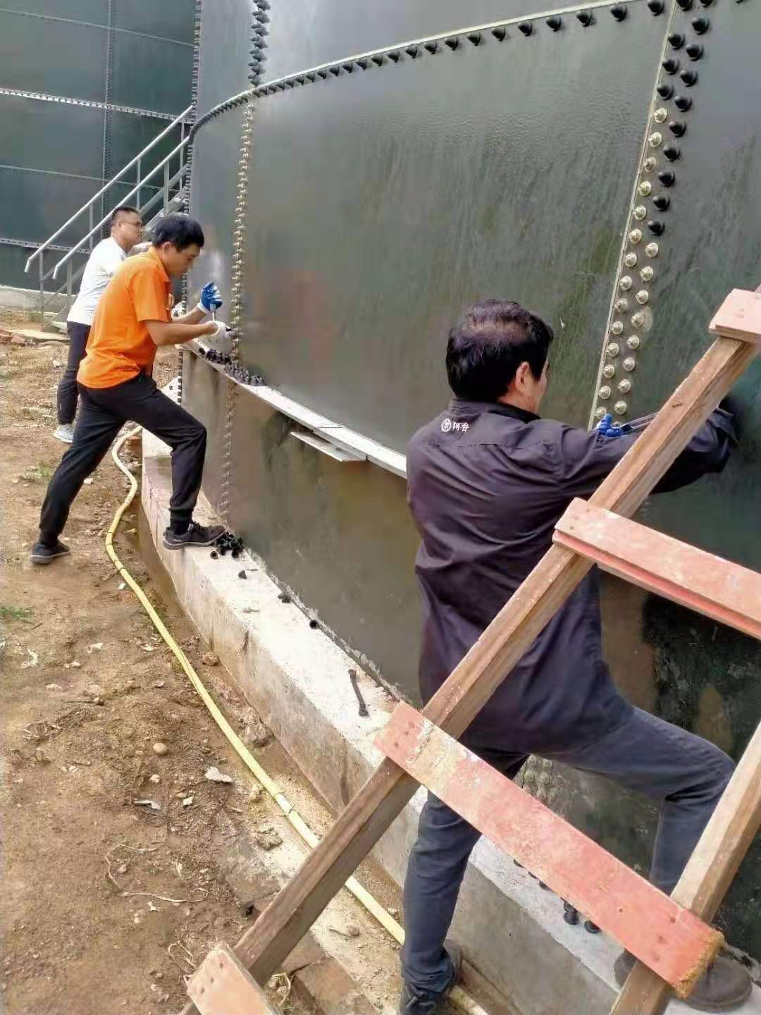 合作案例20(图1)